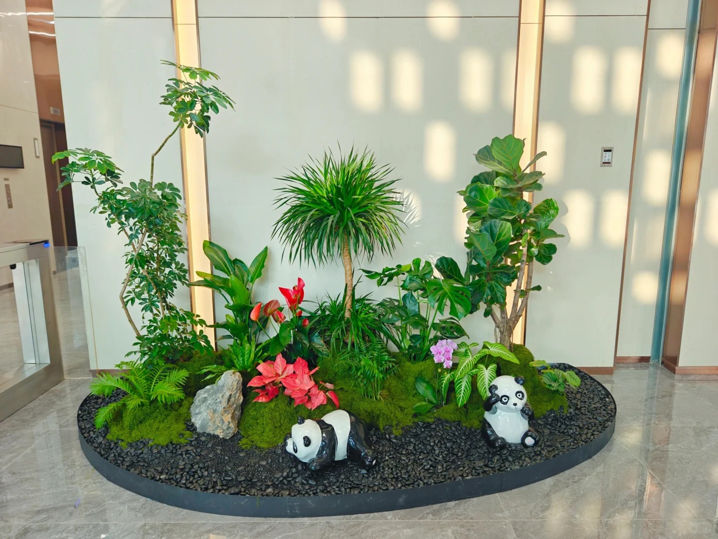 专业镇海植物租赁，营造迷人绿色氛围