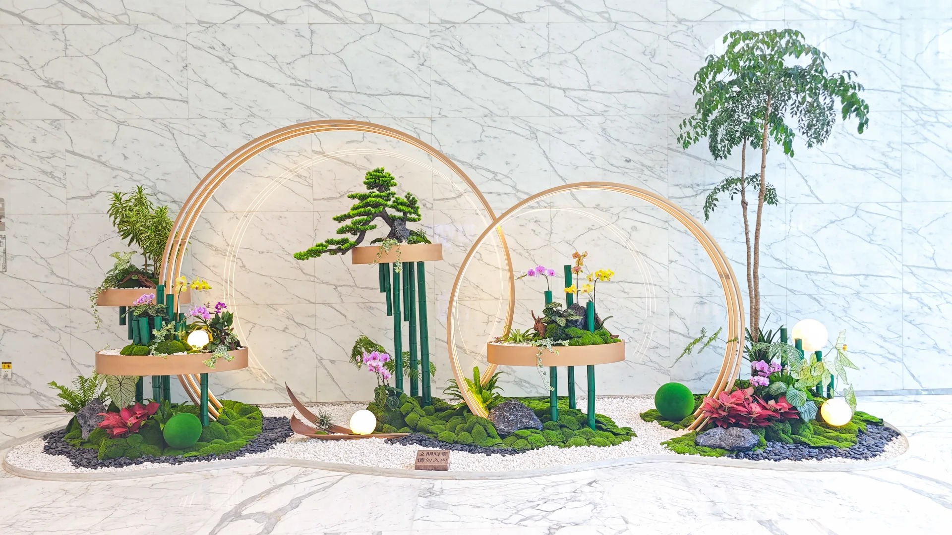 专业植物出租,为宁波镇海增添一抹绿意