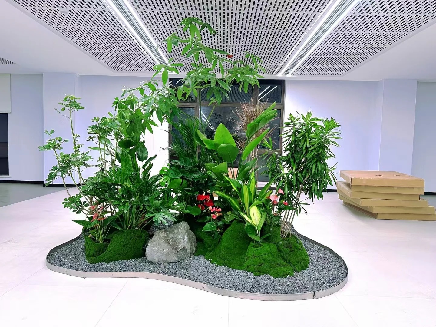 余姚植物租摆，为办公区域注入满满生机